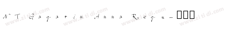 NT Gagarin Anna Regu字体转换